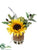 Sunflower, Lavender, Olive - Yellow Green - Pack of 6