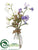 Sweetpea, Sedum - Purple White - Pack of 12