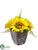 Sunflower Arrangement - Yellow - Pack of 6