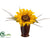 Sunflower, Twig - Yellow - Pack of 12