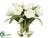 Silk Plants Direct Tulip - White - Pack of 6