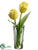 Tulip - Yellow - Pack of 12