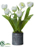 Silk Plants Direct Tulip - White - Pack of 2