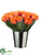 Tulip Bundle - Orange - Pack of 12