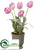 Tulip - Pink - Pack of 4
