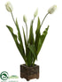 Silk Plants Direct Tulip - Cream Green - Pack of 2