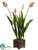 Tulip - Pink Green - Pack of 2