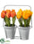 Tulip - Orange Yellow - Pack of 4