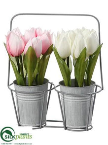 Tulip - Pink White - Pack of 4