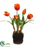 Silk Plants Direct Tulip - Flame - Pack of 6