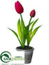 Silk Plants Direct Tulip - Red - Pack of 12