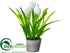 Silk Plants Direct Tulip - White - Pack of 12