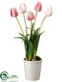 Silk Plants Direct Tulip - Rose Cream - Pack of 4
