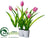 Tulip - Pink - Pack of 6