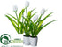 Silk Plants Direct Tulip - White - Pack of 6