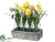 Tulip - Yellow Green - Pack of 2