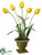 Tulip - Yellow - Pack of 2