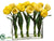 Tulip - Yellow - Pack of 1
