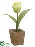 Silk Plants Direct Tulip - Green - Pack of 12