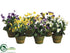 Silk Plants Direct Viola - Assorted - Pack of 12