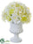 Rose, Hydrangea - Cream White - Pack of 4