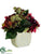 Dahlia, Protea, Sedum - Wine Green - Pack of 4