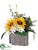 Sunflower, Flower - Yellow Cream - Pack of 4