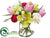 Ranunculus, Snowball, Rose - Pink Green - Pack of 4