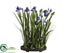 Silk Plants Direct Iris - Purple - Pack of 1