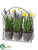 Spring Garden - Mixed - Pack of 1