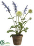 Silk Plants Direct Lavender, Callistephus - Lavender Green - Pack of 6