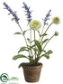 Silk Plants Direct Lavender, Callistephus - Lavender Green - Pack of 6
