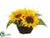 Sunflower, Grass - Yellow - Pack of 6