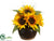 Sunflower, Grass - Yellow - Pack of 2