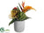 Tropical Flower Arrangement - Yellow Orange - Pack of 2