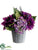 Hydrangea, Dahlia, Gerbera Daisy - Purple - Pack of 6