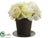 Rose, Hydrangea - Cream Green - Pack of 4