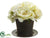 Rose, Hydrangea - Cream Green - Pack of 2