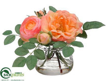 Ranunculus, Rose - Coral Peach - Pack of 12