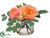 Ranunculus, Rose - Coral Peach - Pack of 12