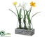 Silk Plants Direct Daffodil, Narcissus - White Yellow - Pack of 4