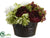 Hydrangea, Ranunculus, Peony, Skimmia - Eggplant Green - Pack of 2