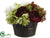 Hydrangea, Ranunculus, Peony, Skimmia - Eggplant Green - Pack of 2