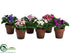 Silk Plants Direct African Violet - Assorted - Pack of 6