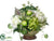 Hydrangea, Cabbage - Green Cream - Pack of 4
