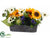 Sunflower, Lotus Pod, Protea - Yellow Cream - Pack of 4