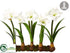 Silk Plants Direct Amaryllis - White - Pack of 2