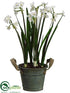 Silk Plants Direct Paperwhite Narcissus - White - Pack of 2