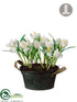 Silk Plants Direct Crocus - White - Pack of 2