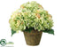 Silk Plants Direct Hydrangea - Green - Pack of 2